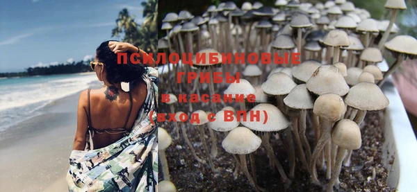 ПСИЛОЦИБИНОВЫЕ ГРИБЫ Беломорск