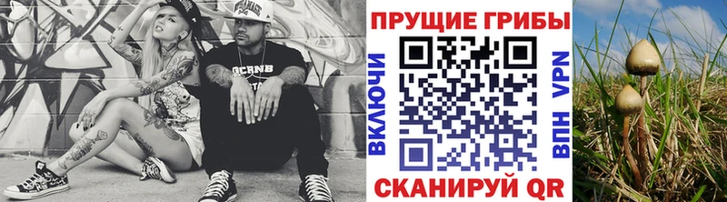 Галлюциногенные грибы GOLDEN TEACHER Кудымкар