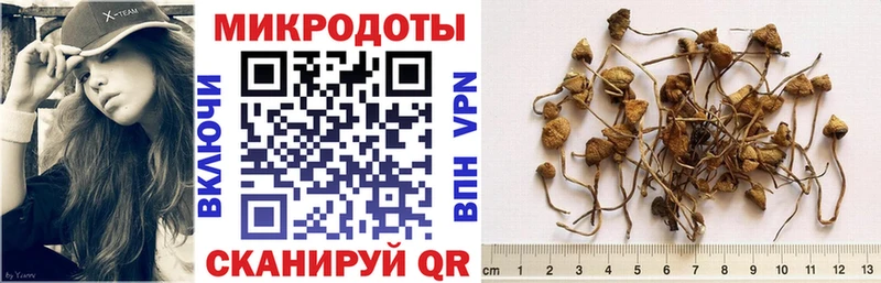 Галлюциногенные грибы Cubensis  Кудымкар 